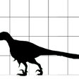 Obr. 1 Skutočná veľkosť Utahraptora v porovnaní s človekom 